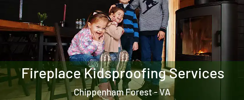 Fireplace Kidsproofing Services Chippenham Forest - VA