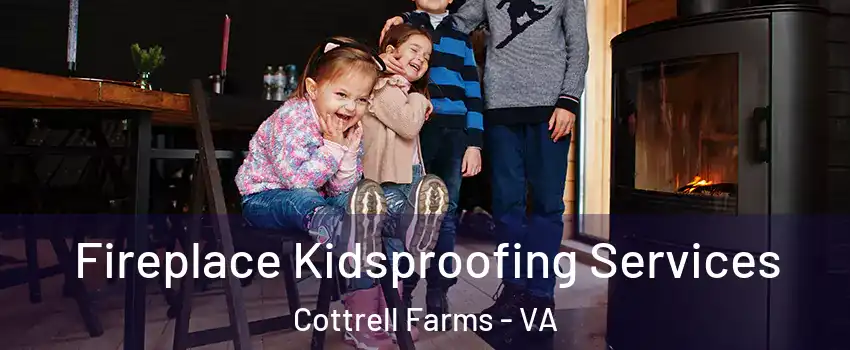 Fireplace Kidsproofing Services Cottrell Farms - VA