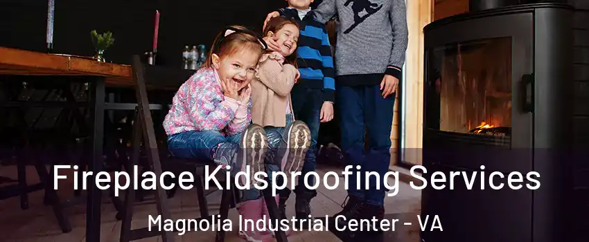 Fireplace Kidsproofing Services Magnolia Industrial Center - VA