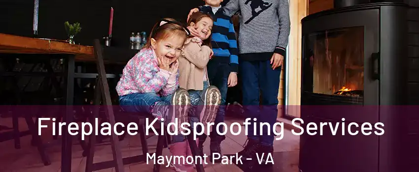Fireplace Kidsproofing Services Maymont Park - VA