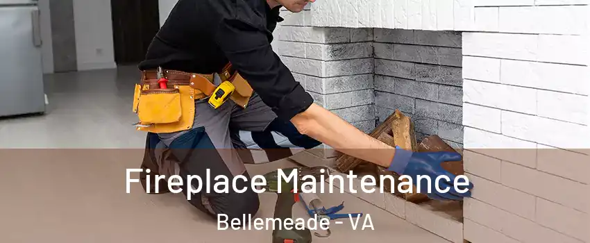 Fireplace Maintenance Bellemeade - VA