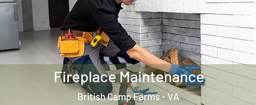 Fireplace Maintenance British Camp Farms - VA