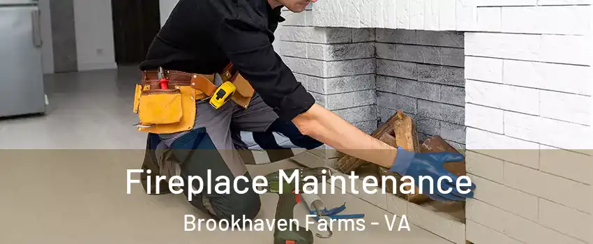 Fireplace Maintenance Brookhaven Farms - VA