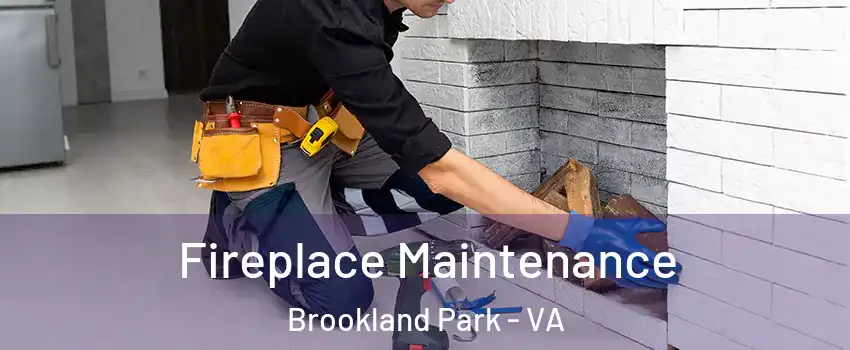 Fireplace Maintenance Brookland Park - VA