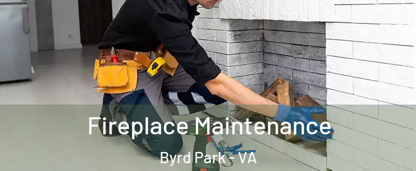 Fireplace Maintenance Byrd Park - VA