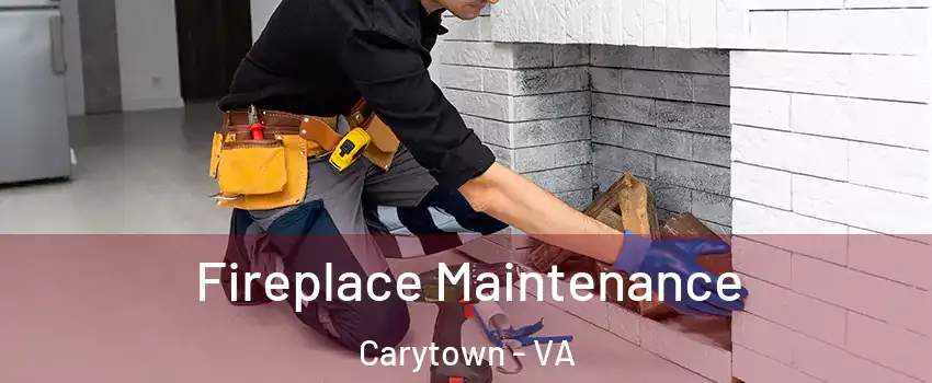 Fireplace Maintenance Carytown - VA