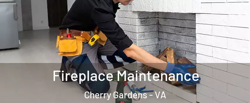 Fireplace Maintenance Cherry Gardens - VA