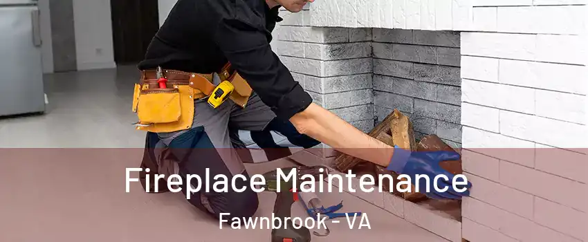 Fireplace Maintenance Fawnbrook - VA
