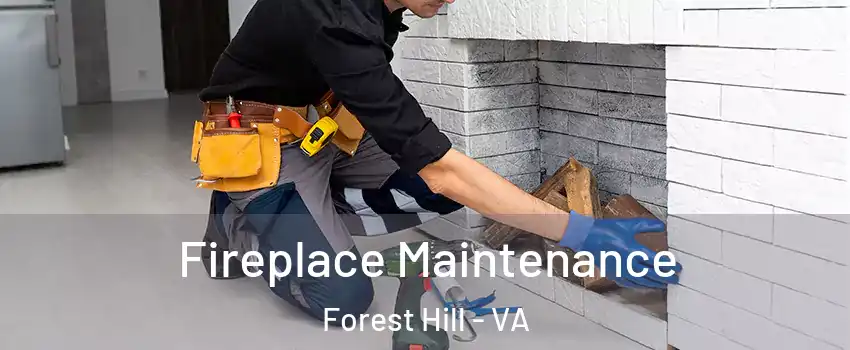 Fireplace Maintenance Forest Hill - VA