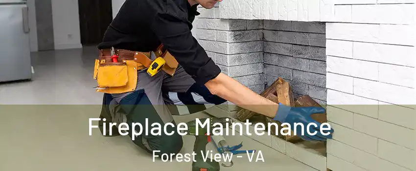 Fireplace Maintenance Forest View - VA