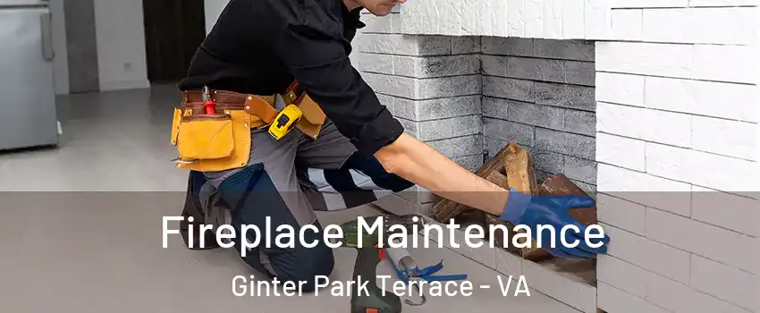 Fireplace Maintenance Ginter Park Terrace - VA