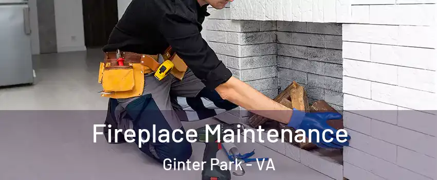 Fireplace Maintenance Ginter Park - VA