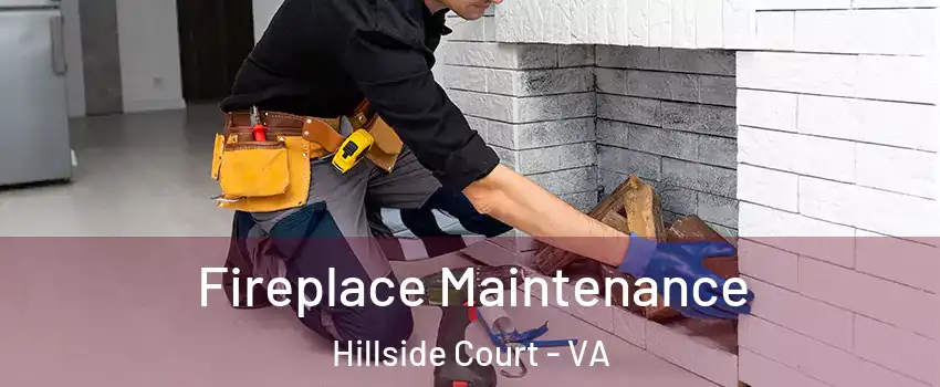 Fireplace Maintenance Hillside Court - VA