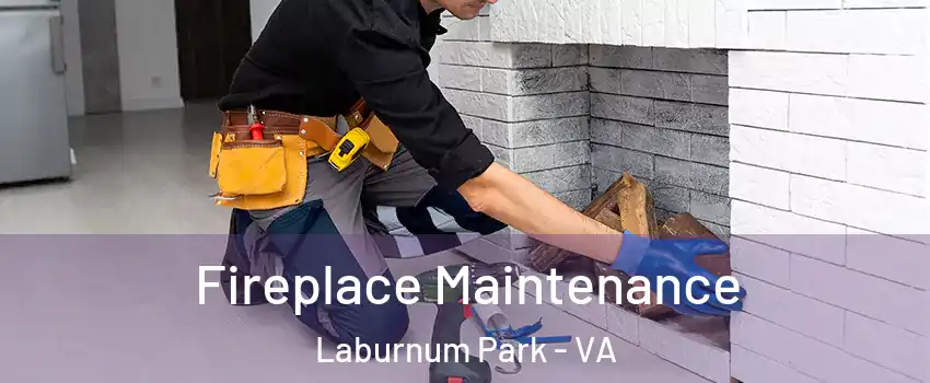 Fireplace Maintenance Laburnum Park - VA