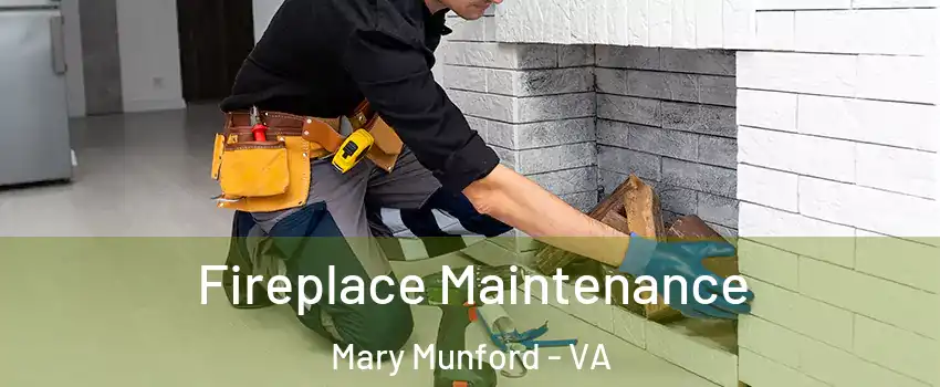 Fireplace Maintenance Mary Munford - VA