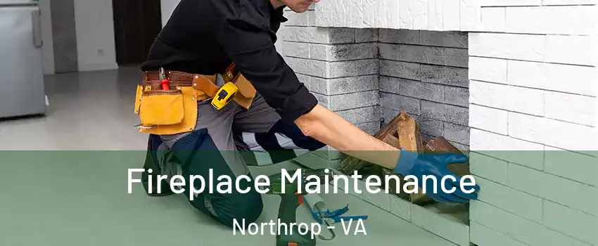 Fireplace Maintenance Northrop - VA