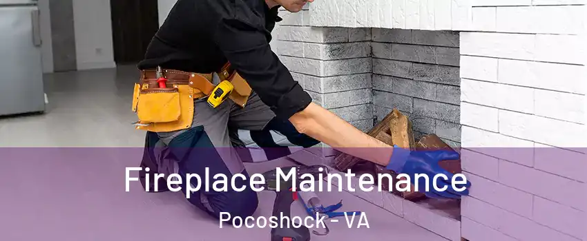 Fireplace Maintenance Pocoshock - VA