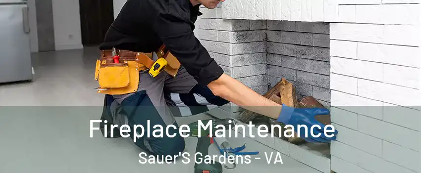 Fireplace Maintenance Sauer'S Gardens - VA
