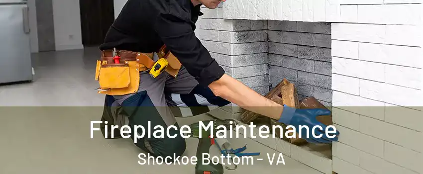 Fireplace Maintenance Shockoe Bottom - VA