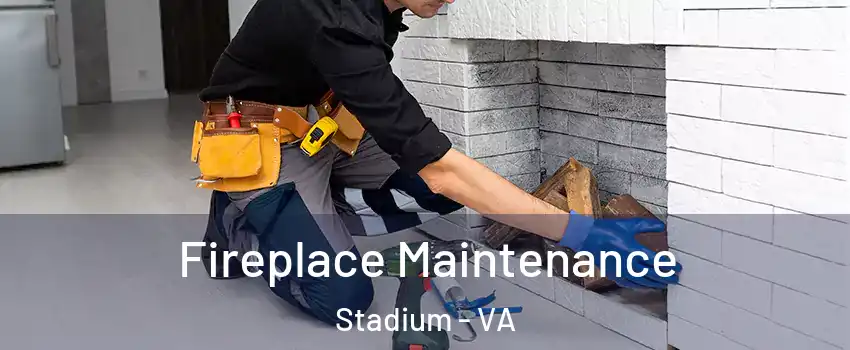 Fireplace Maintenance Stadium - VA