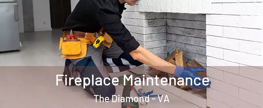 Fireplace Maintenance The Diamond - VA