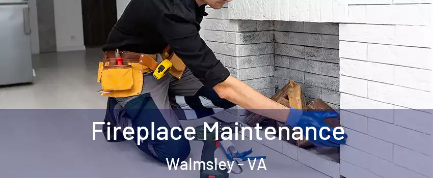 Fireplace Maintenance Walmsley - VA
