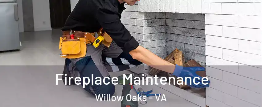 Fireplace Maintenance Willow Oaks - VA