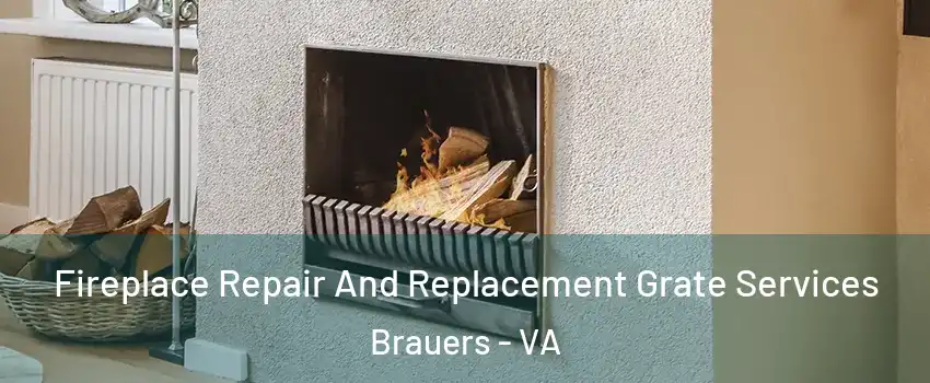 Fireplace Repair And Replacement Grate Services Brauers - VA