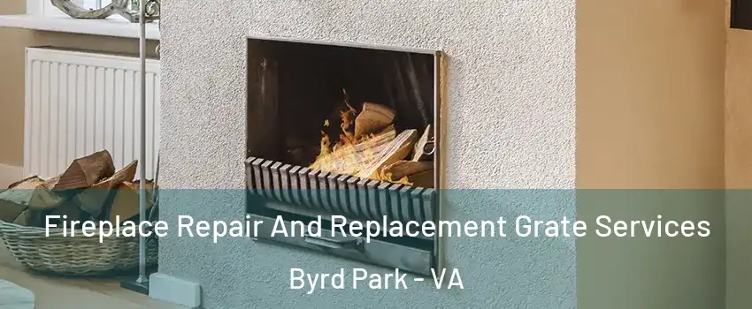 Fireplace Repair And Replacement Grate Services Byrd Park - VA