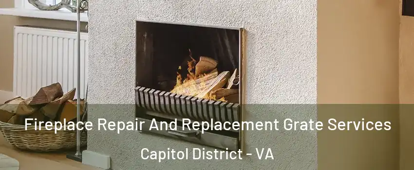 Fireplace Repair And Replacement Grate Services Capitol District - VA
