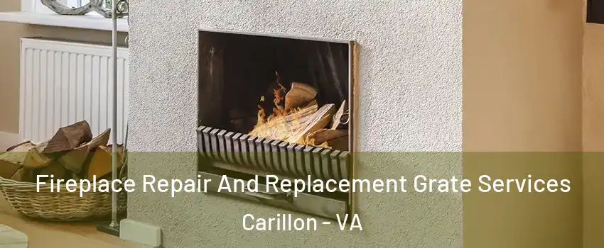 Fireplace Repair And Replacement Grate Services Carillon - VA