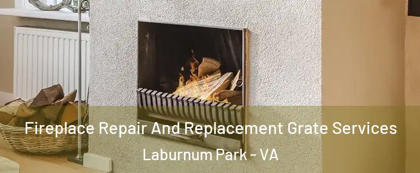 Fireplace Repair And Replacement Grate Services Laburnum Park - VA