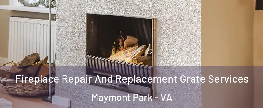Fireplace Repair And Replacement Grate Services Maymont Park - VA