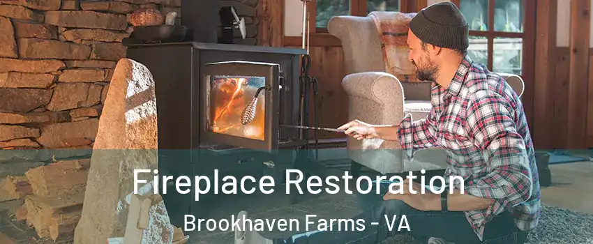Fireplace Restoration Brookhaven Farms - VA