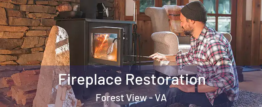 Fireplace Restoration Forest View - VA