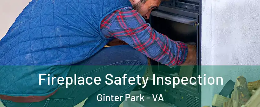 Fireplace Safety Inspection Ginter Park - VA