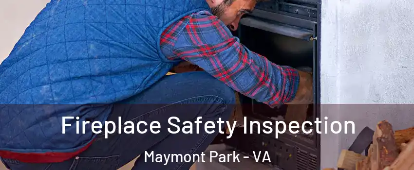 Fireplace Safety Inspection Maymont Park - VA