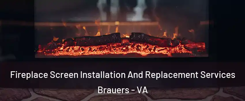 Fireplace Screen Installation And Replacement Services Brauers - VA