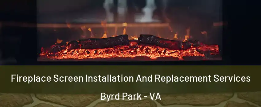 Fireplace Screen Installation And Replacement Services Byrd Park - VA