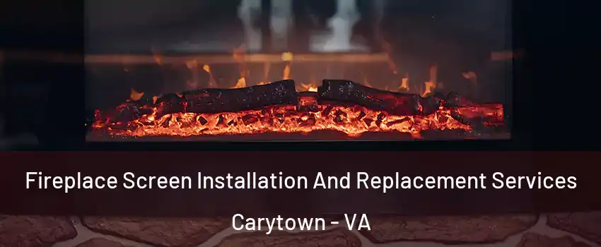 Fireplace Screen Installation And Replacement Services Carytown - VA