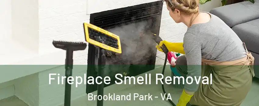 Fireplace Smell Removal Brookland Park - VA