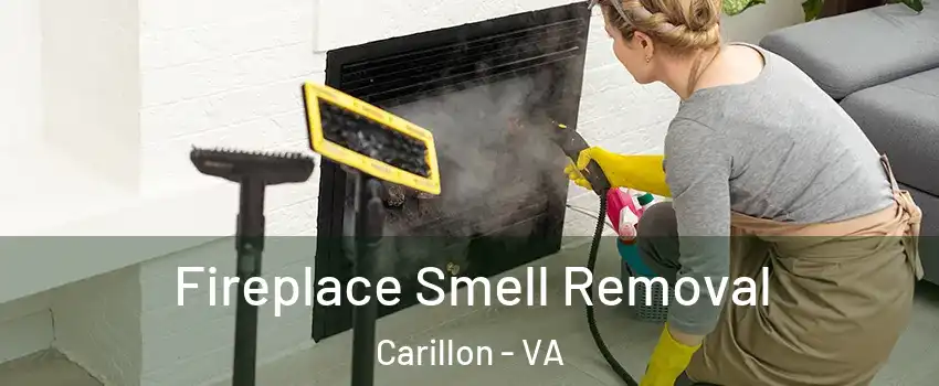 Fireplace Smell Removal Carillon - VA