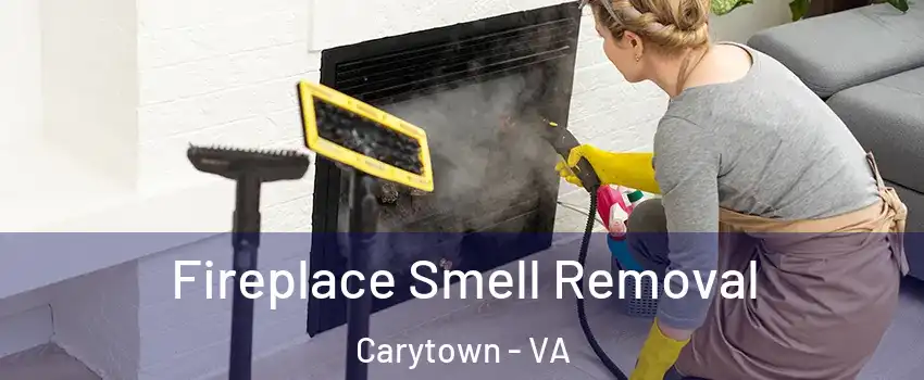 Fireplace Smell Removal Carytown - VA