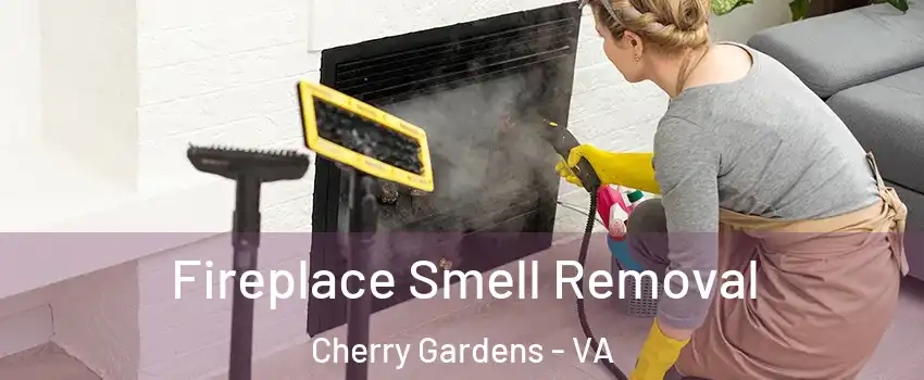 Fireplace Smell Removal Cherry Gardens - VA