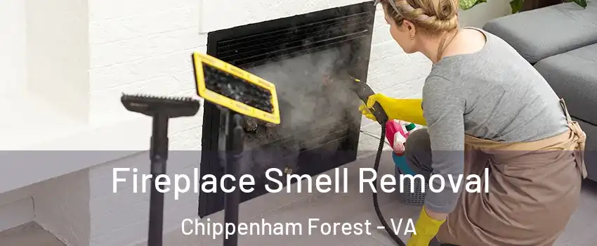 Fireplace Smell Removal Chippenham Forest - VA