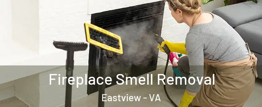 Fireplace Smell Removal Eastview - VA
