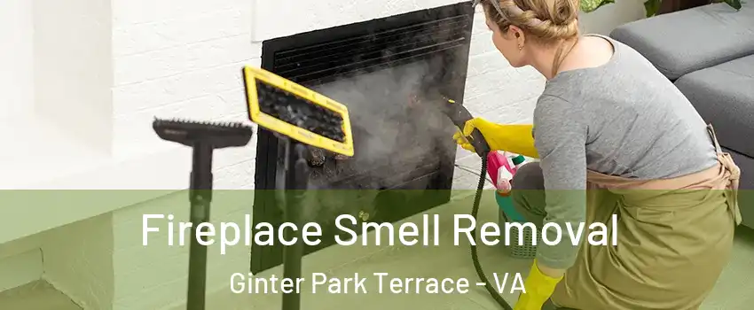 Fireplace Smell Removal Ginter Park Terrace - VA