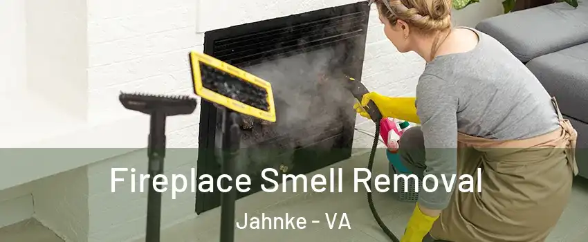 Fireplace Smell Removal Jahnke - VA