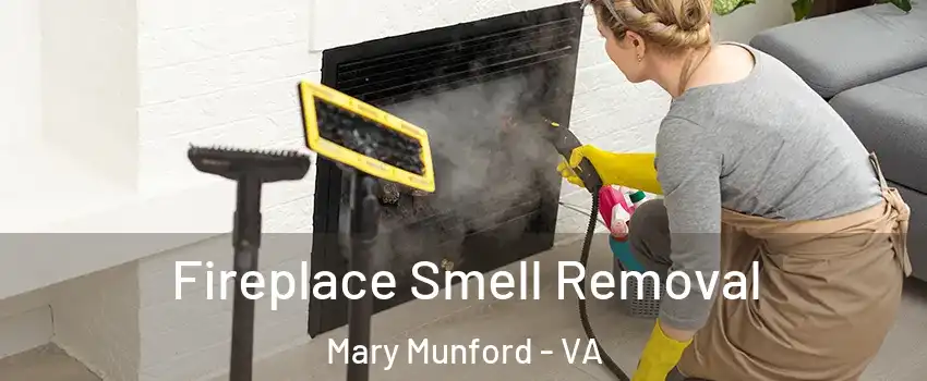 Fireplace Smell Removal Mary Munford - VA