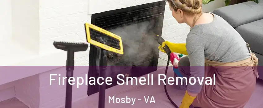 Fireplace Smell Removal Mosby - VA